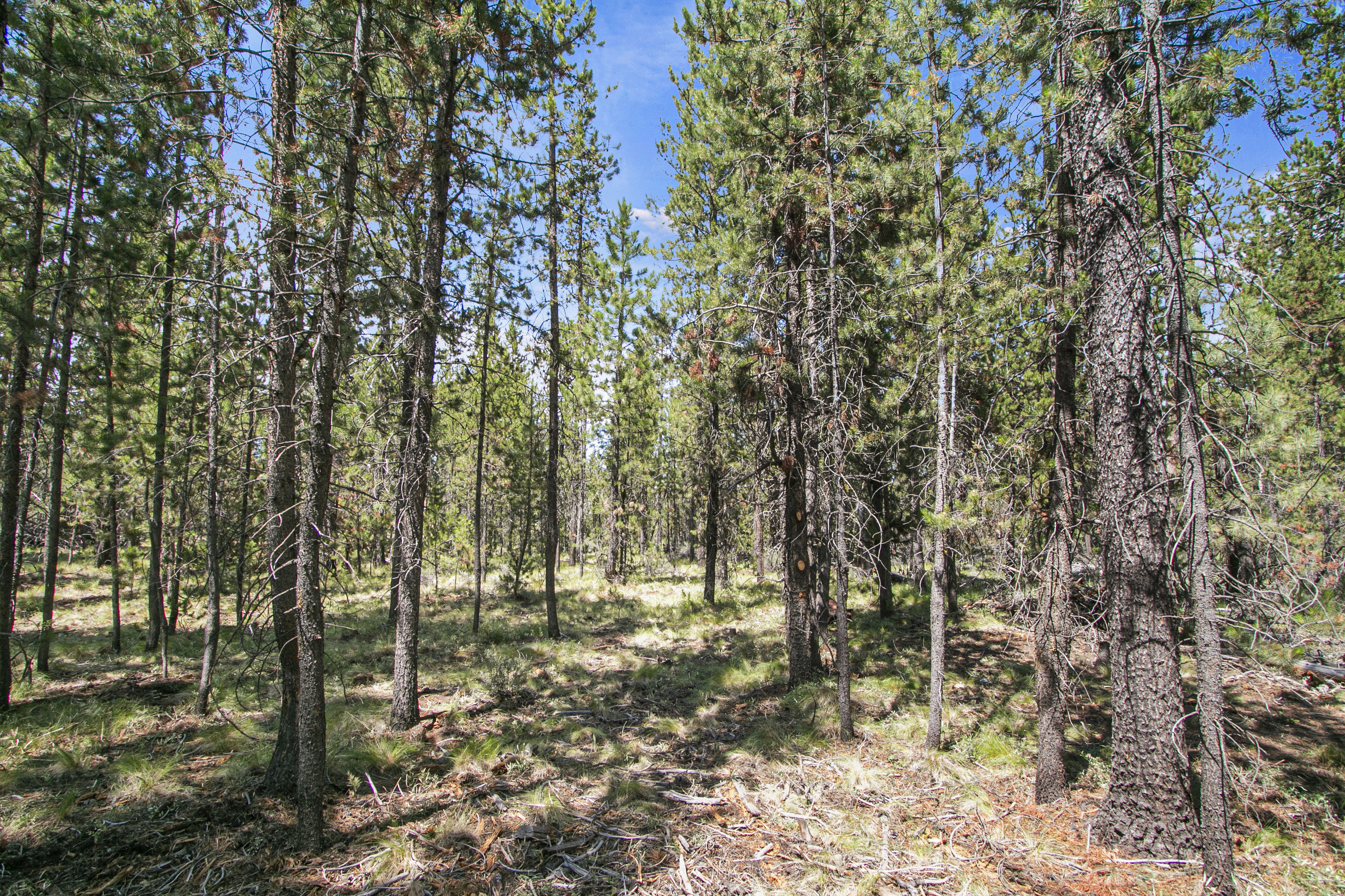 16927 Upland Rd – A Recreational Canvas in the Heart of Central Oregon