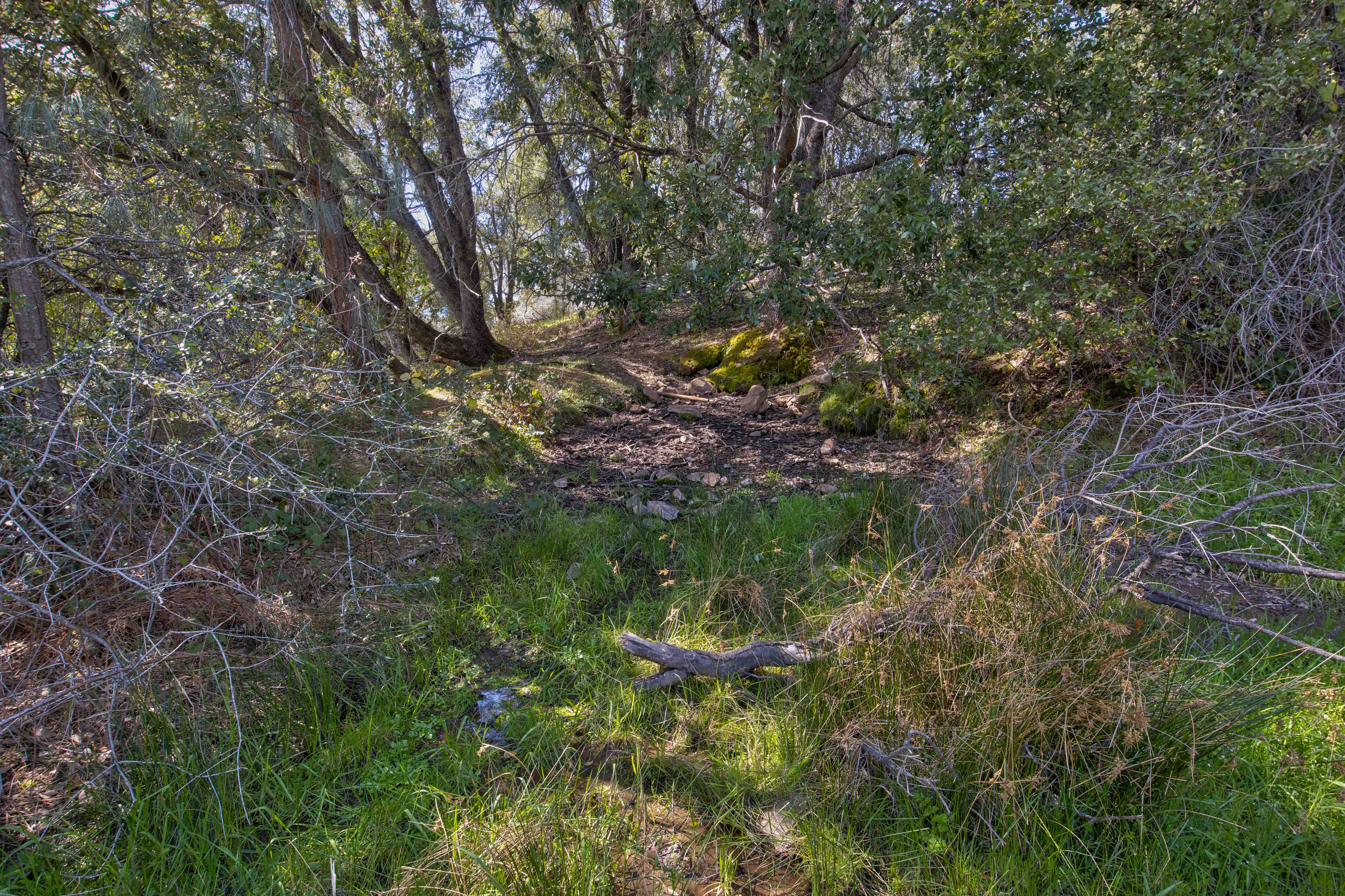 Listing Image 27