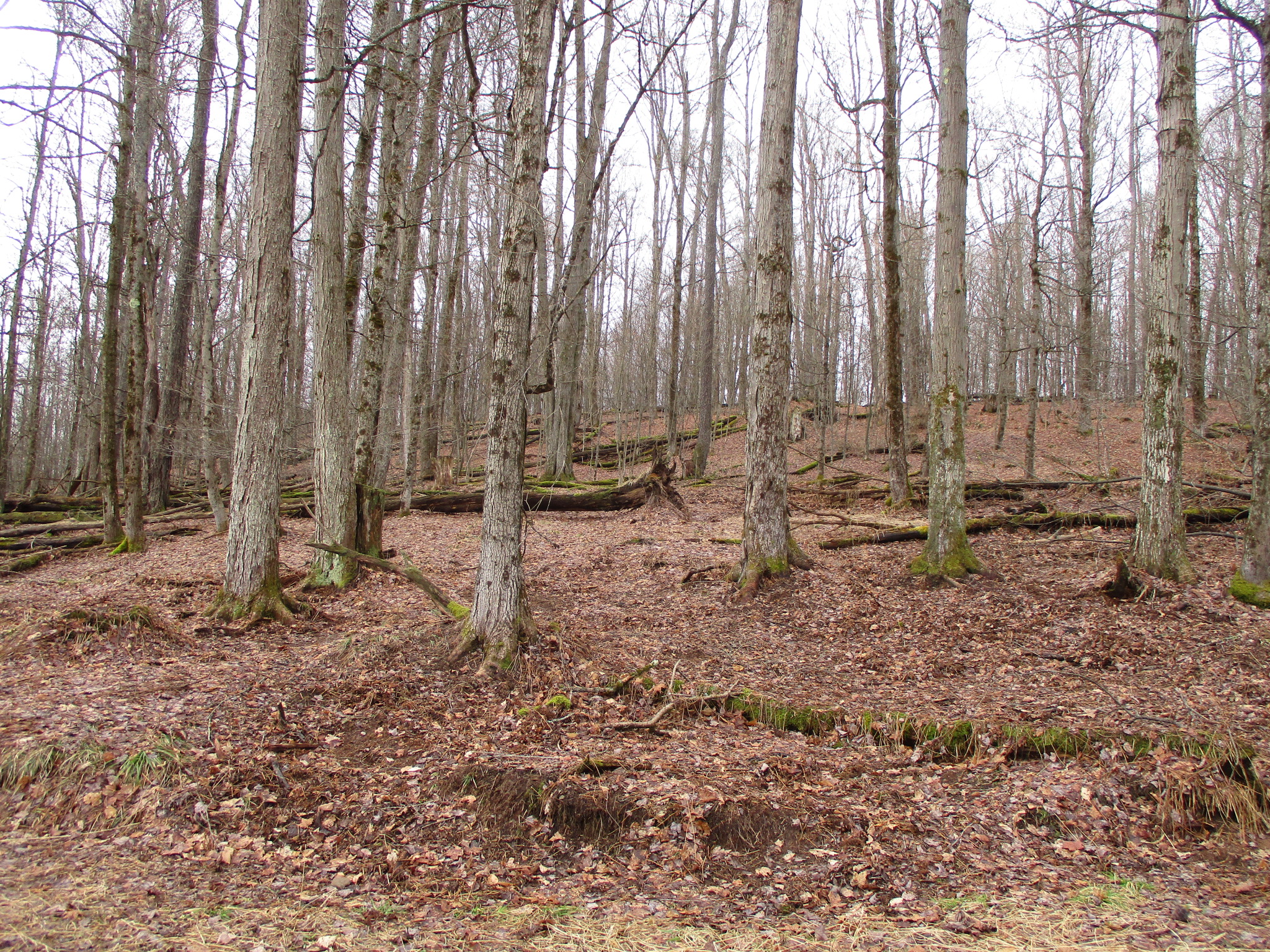 Listing Image 28