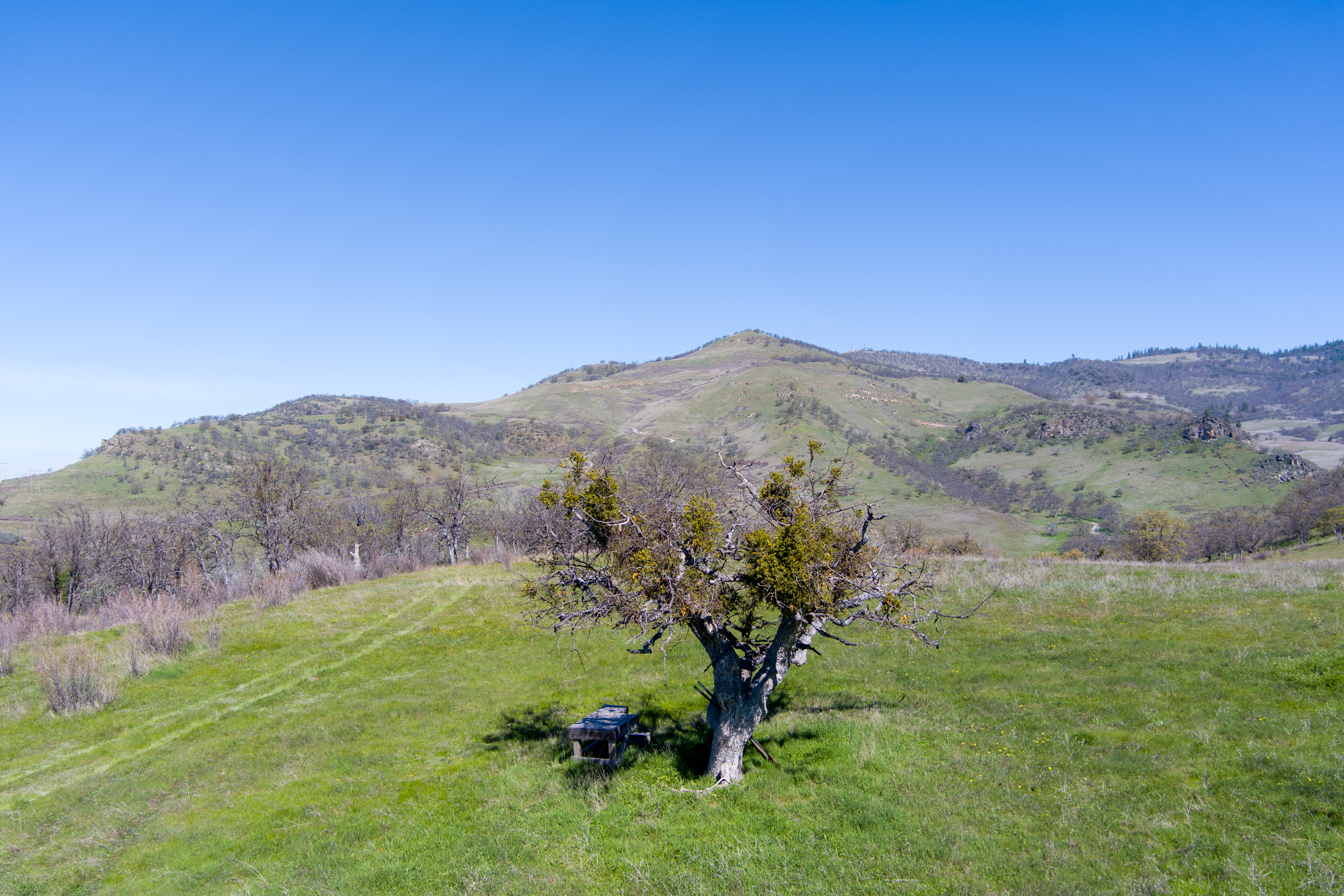 560 Canyon Hills Dr