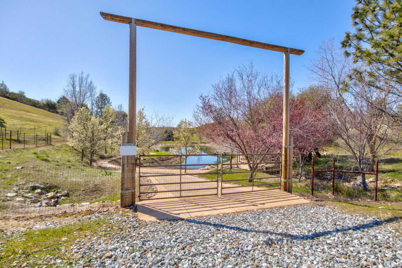 Tailem Bend Ranch and Vineyard