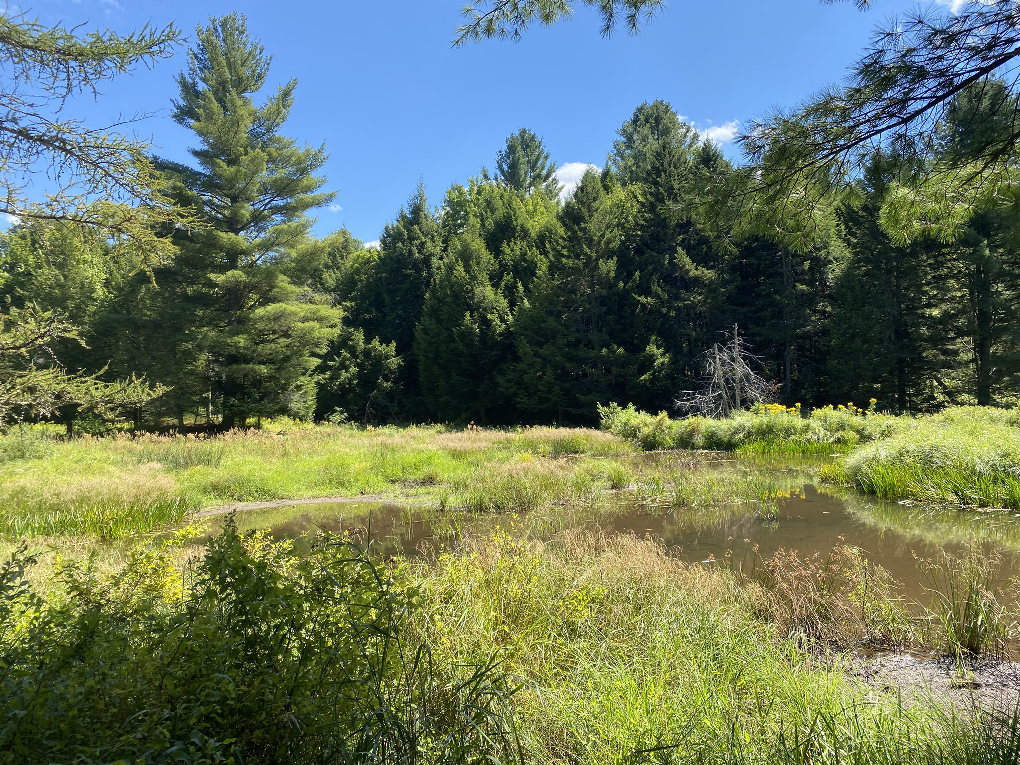 Plumb Brook Country Retreat
