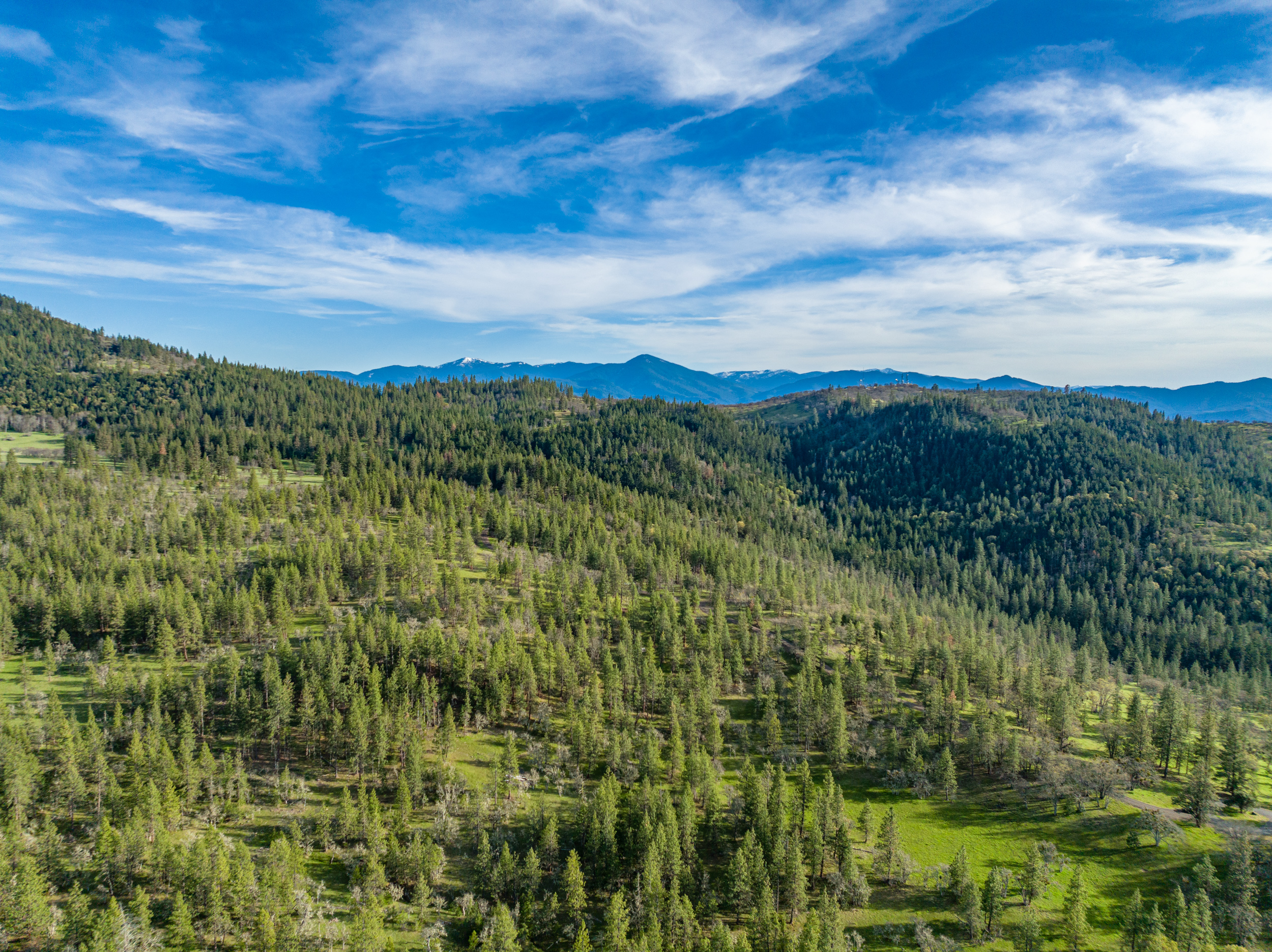 Mount Baldy Ranch