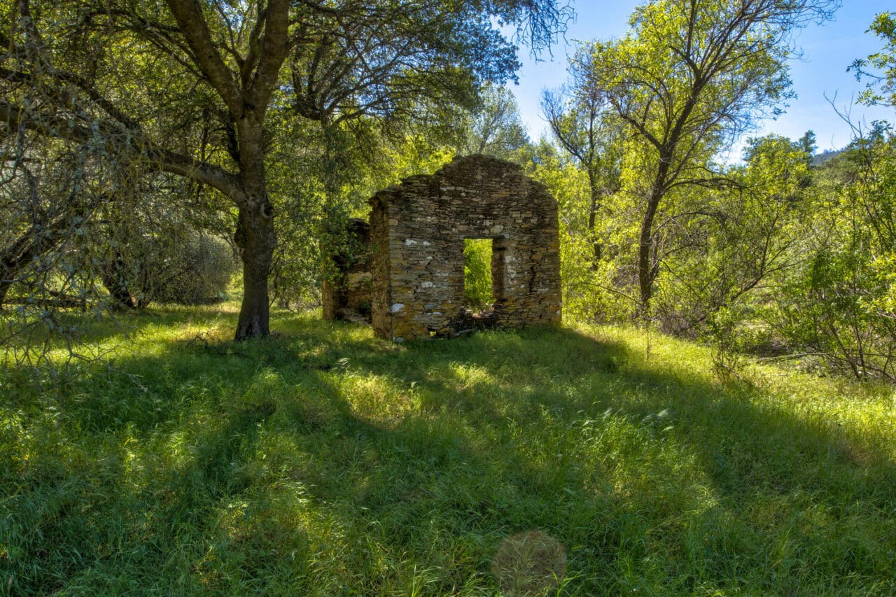 Listing Image 91