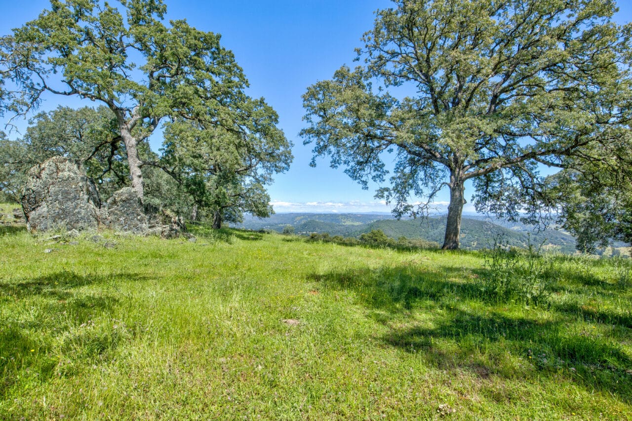 Listing Image 87