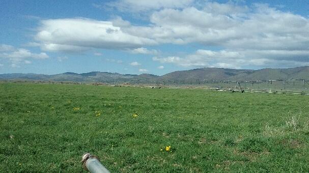 Lennon Lookout Ranch