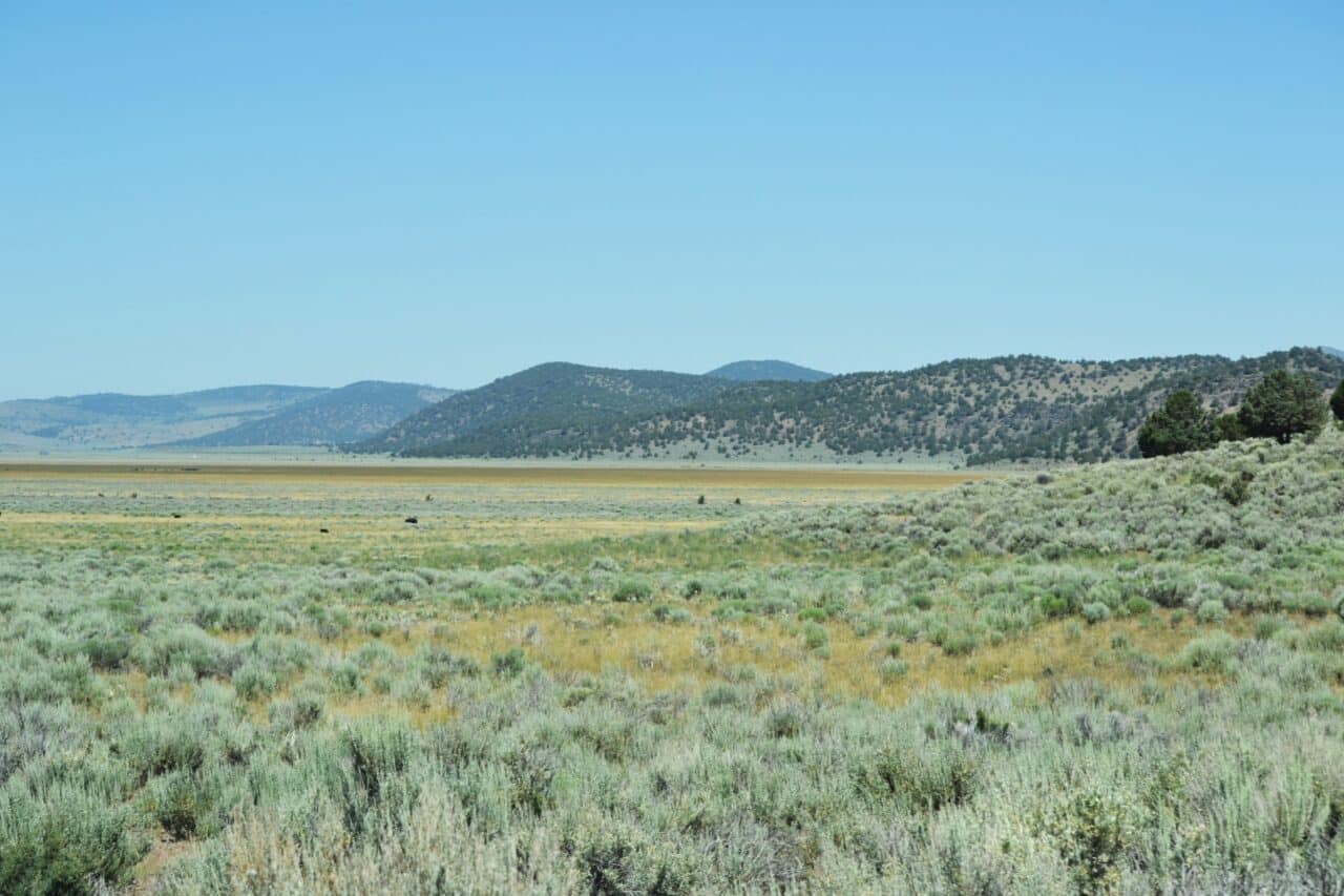 Valley View Ranch