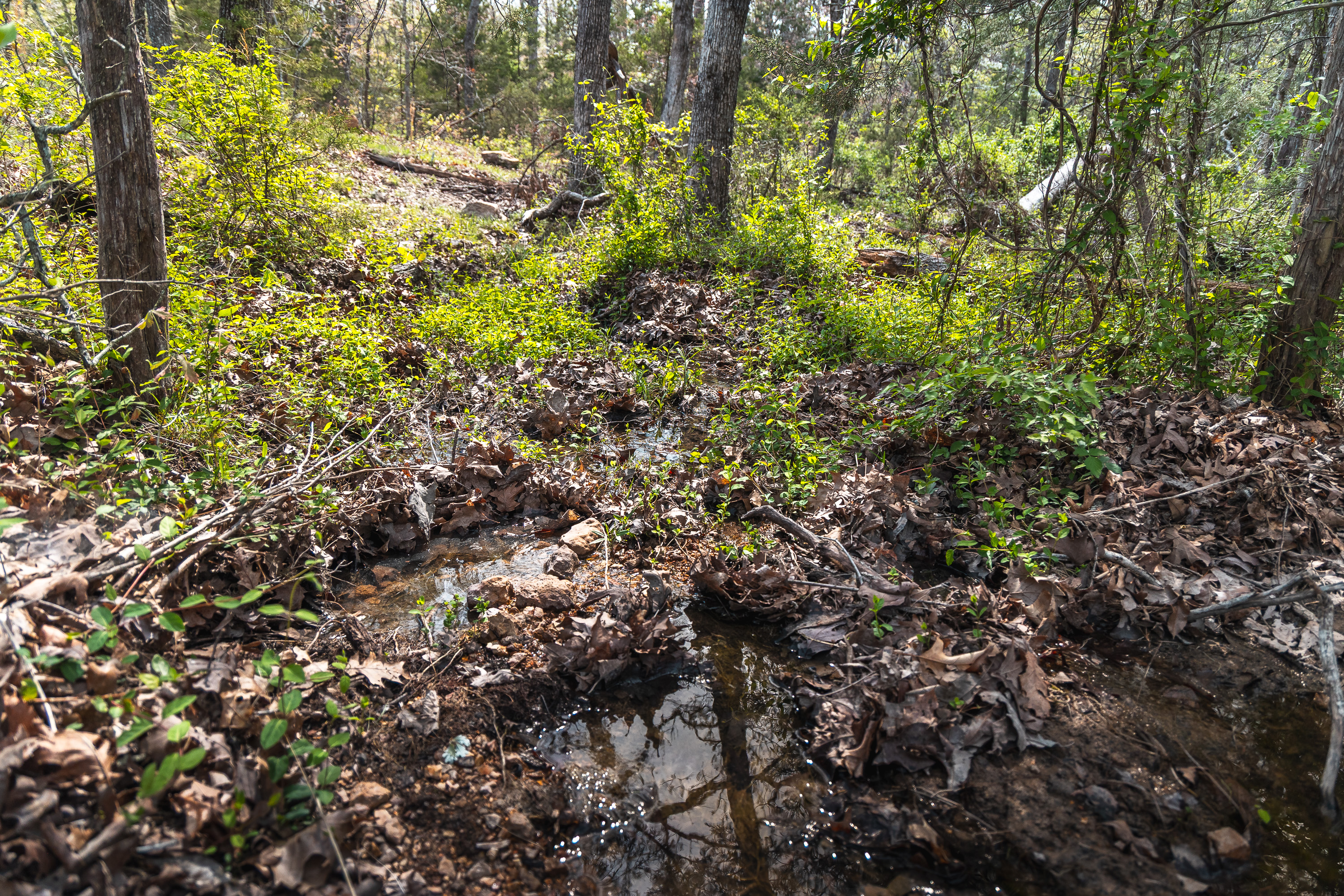 Buck Nest 32