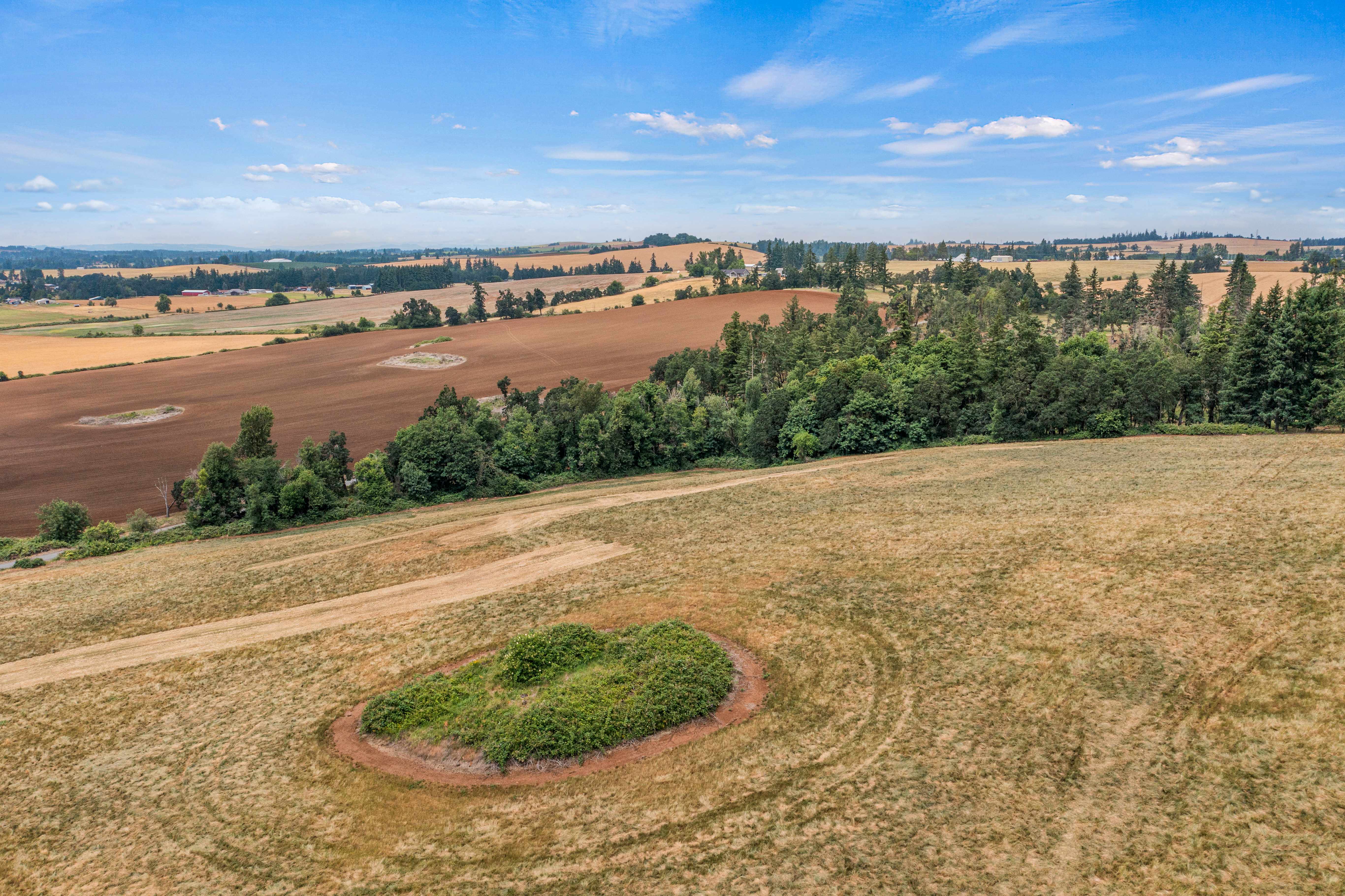 Sublimity 152 — Productive Willamette Valley Farm for Sale with Creek Frontage and Homesite Potential