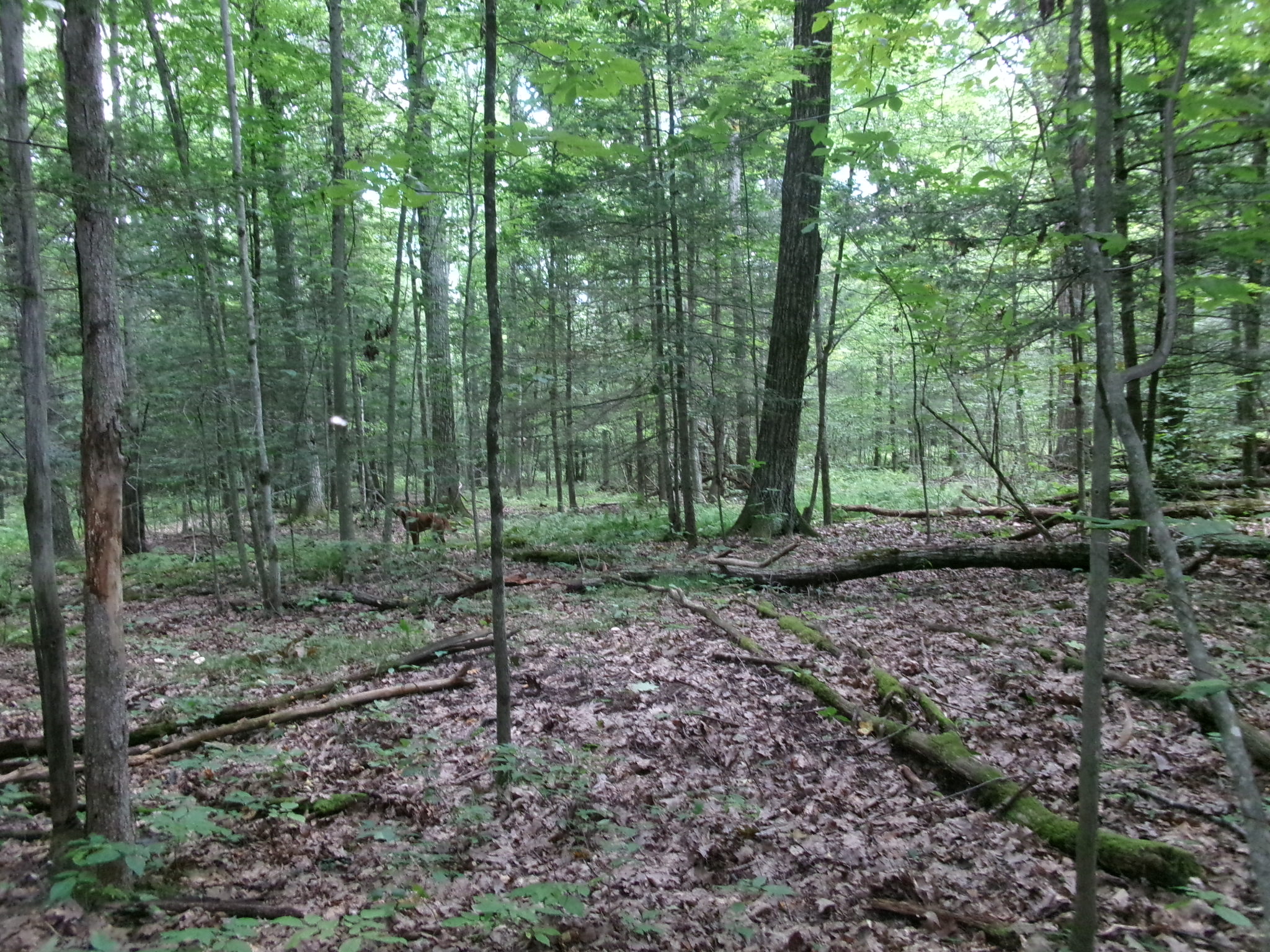 Listing Image 26