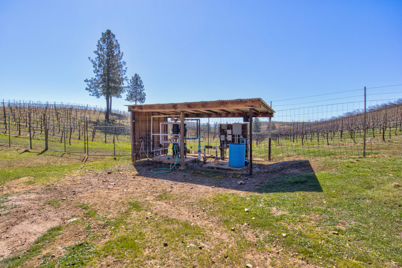 Tailem Bend Ranch and Vineyard