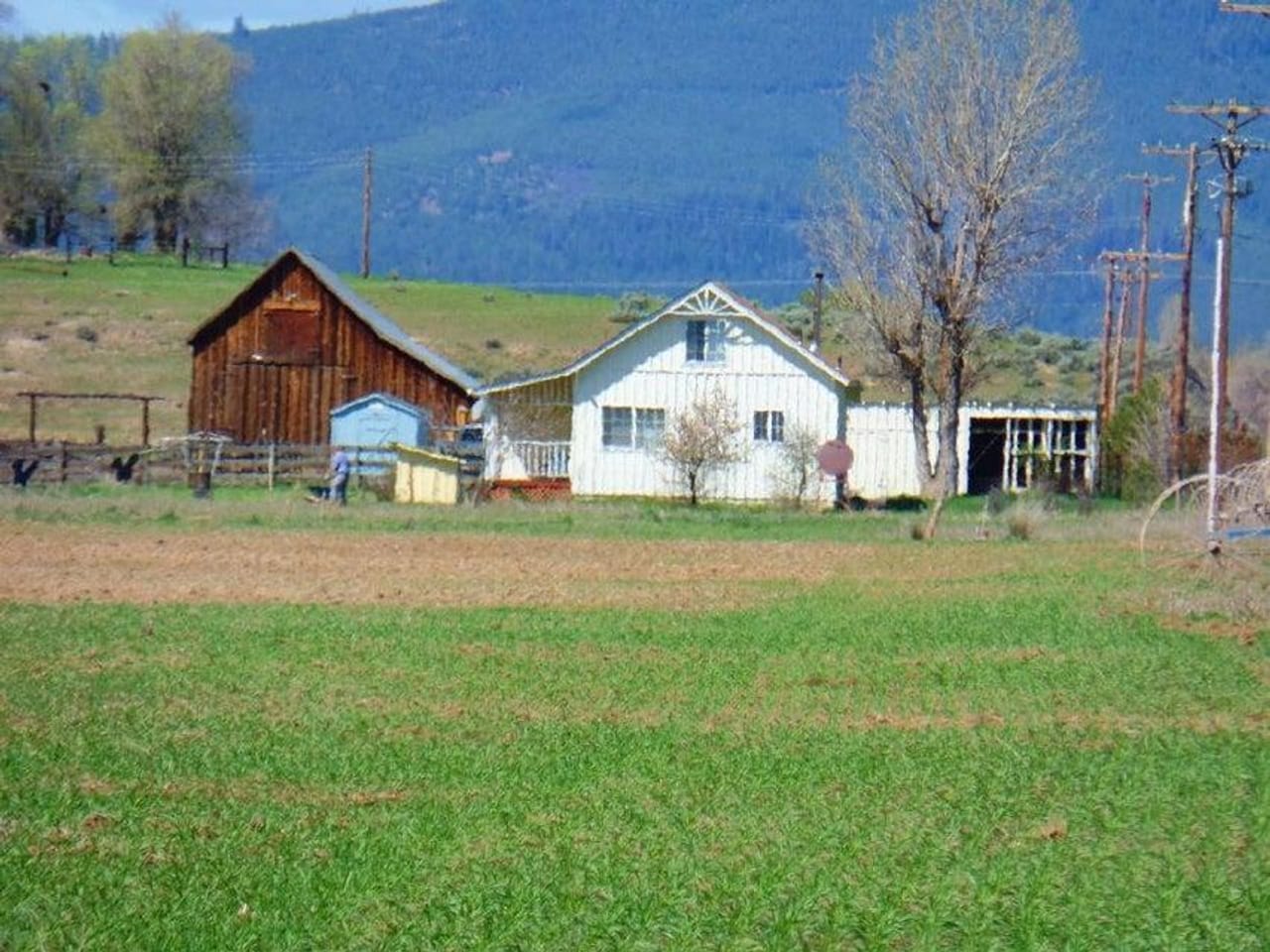 Listing Image 14