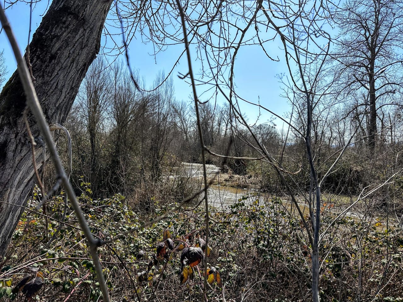 Listing Image 18