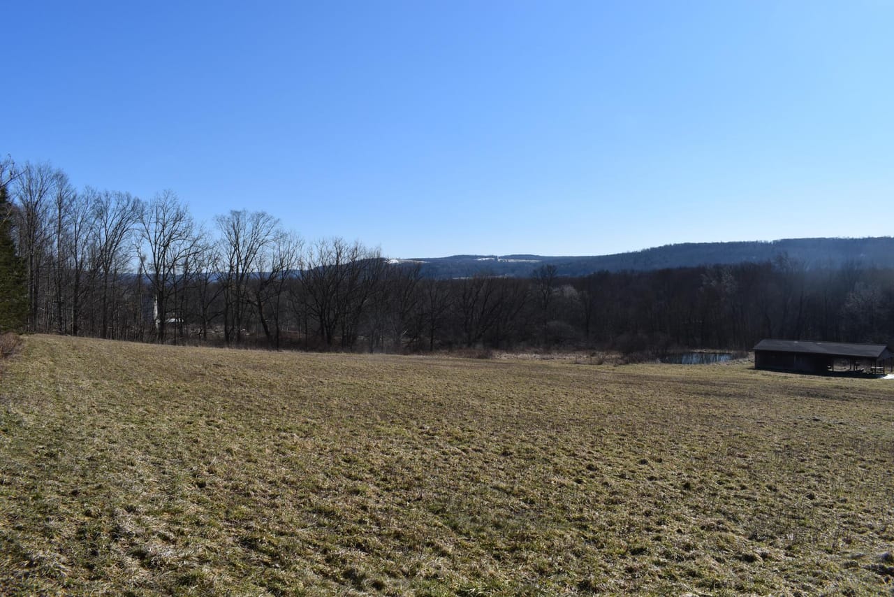 Listing Image 59