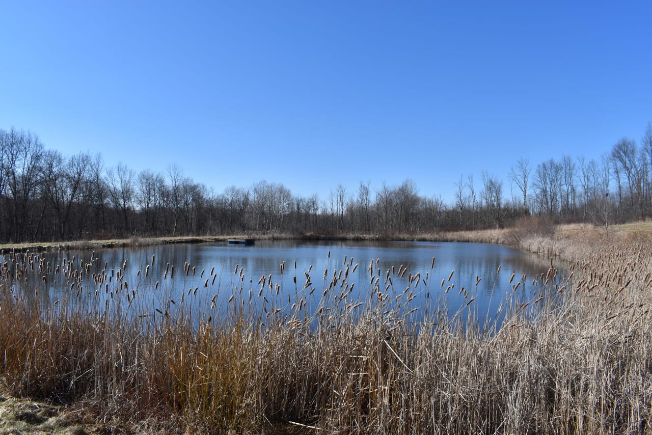 Listing Image 64