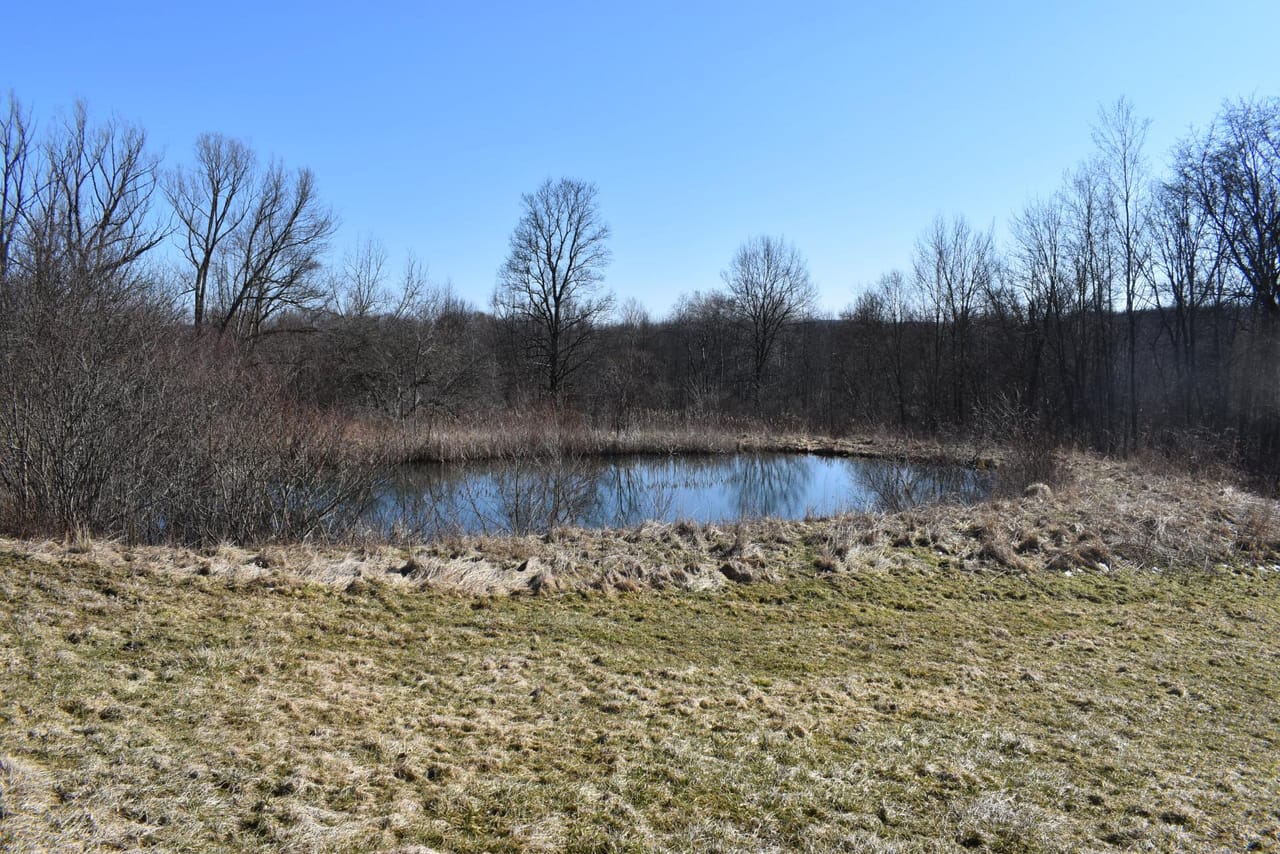 Listing Image 67