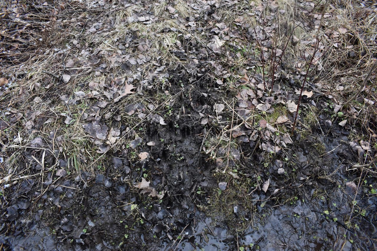 Listing Image 69