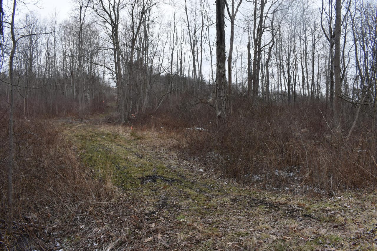 Listing Image 71