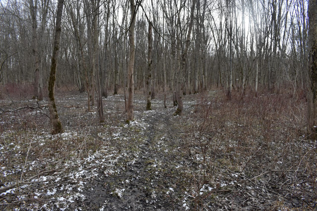 Listing Image 74