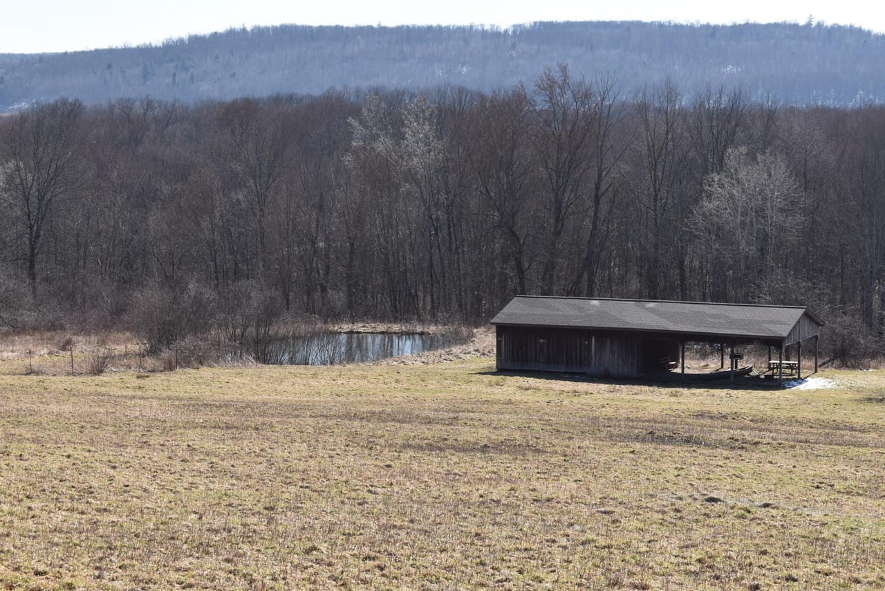 Listing Image 10