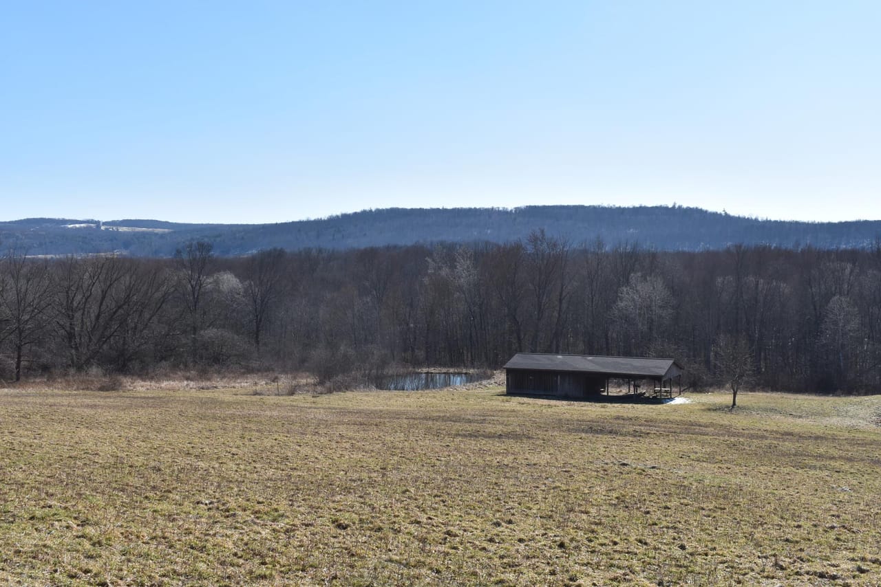 Listing Image 16