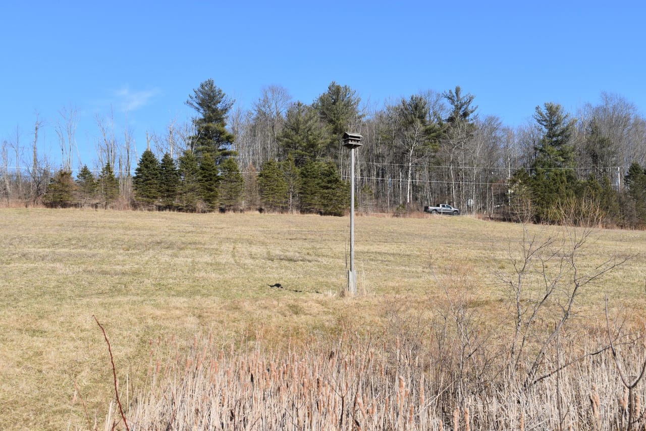 Listing Image 34