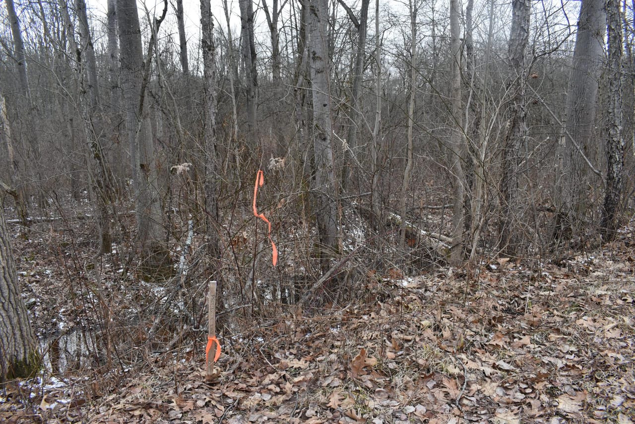 Listing Image 52
