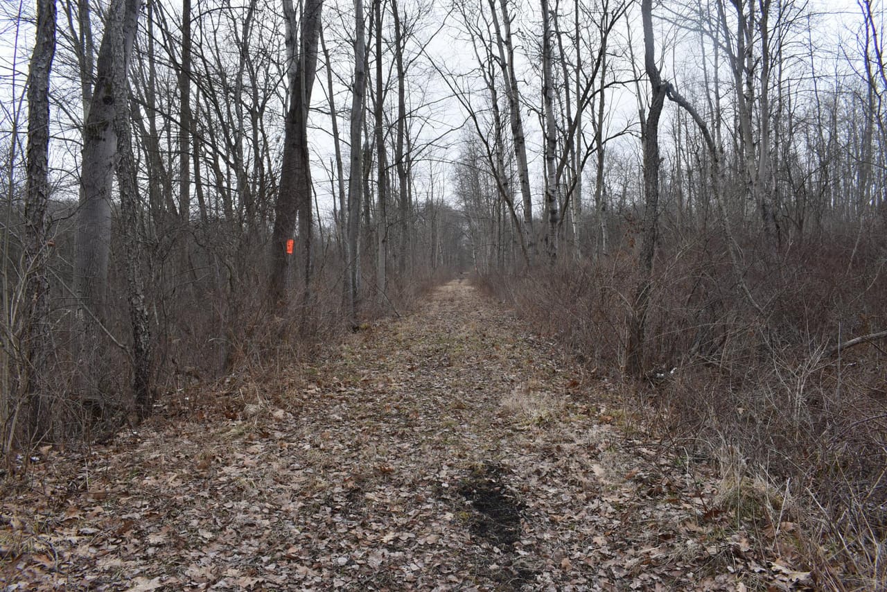 Listing Image 54