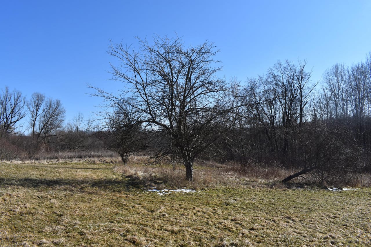Listing Image 17