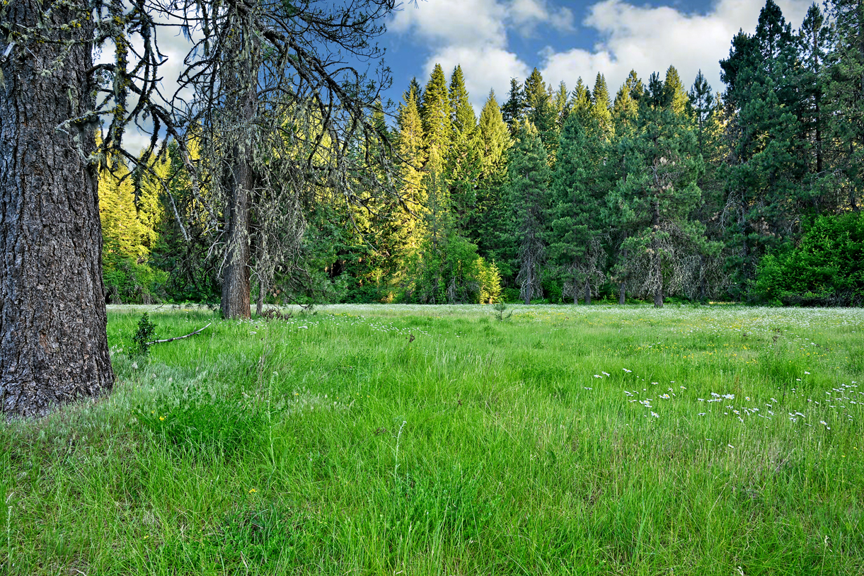 Inter Mountain Ranch