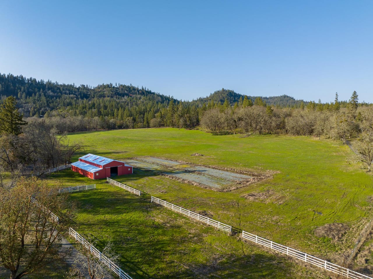 Listing Image 59