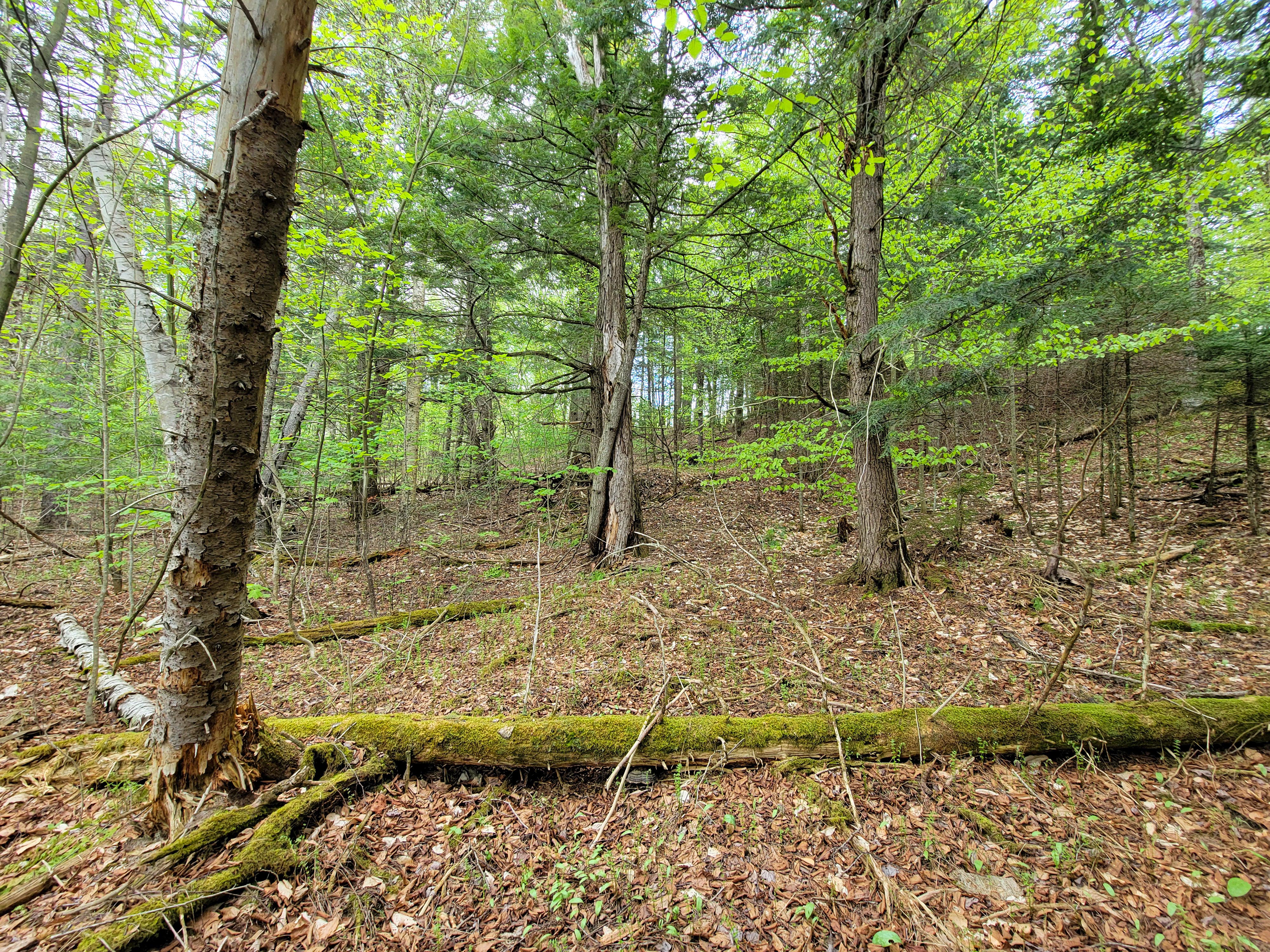 Listing Image 46