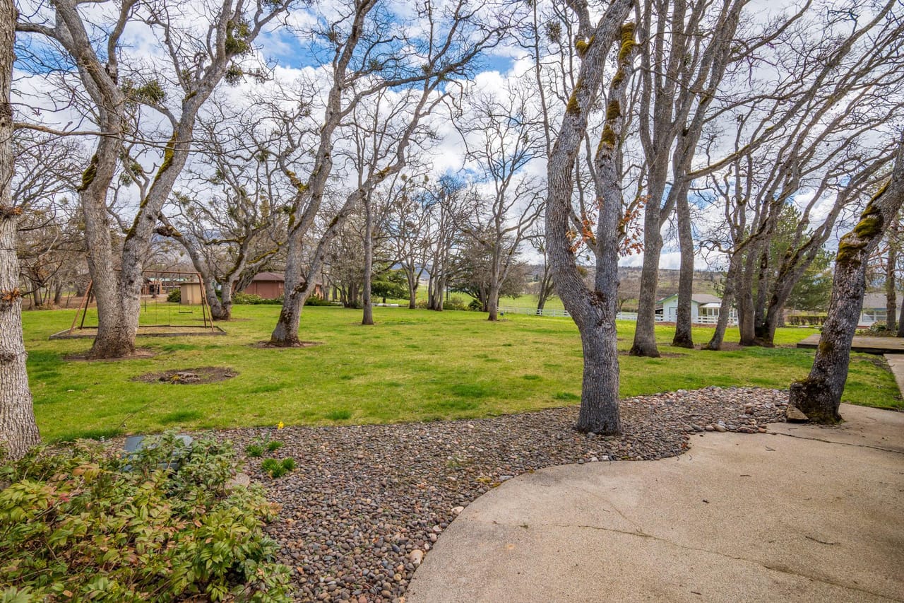 Listing Image 76