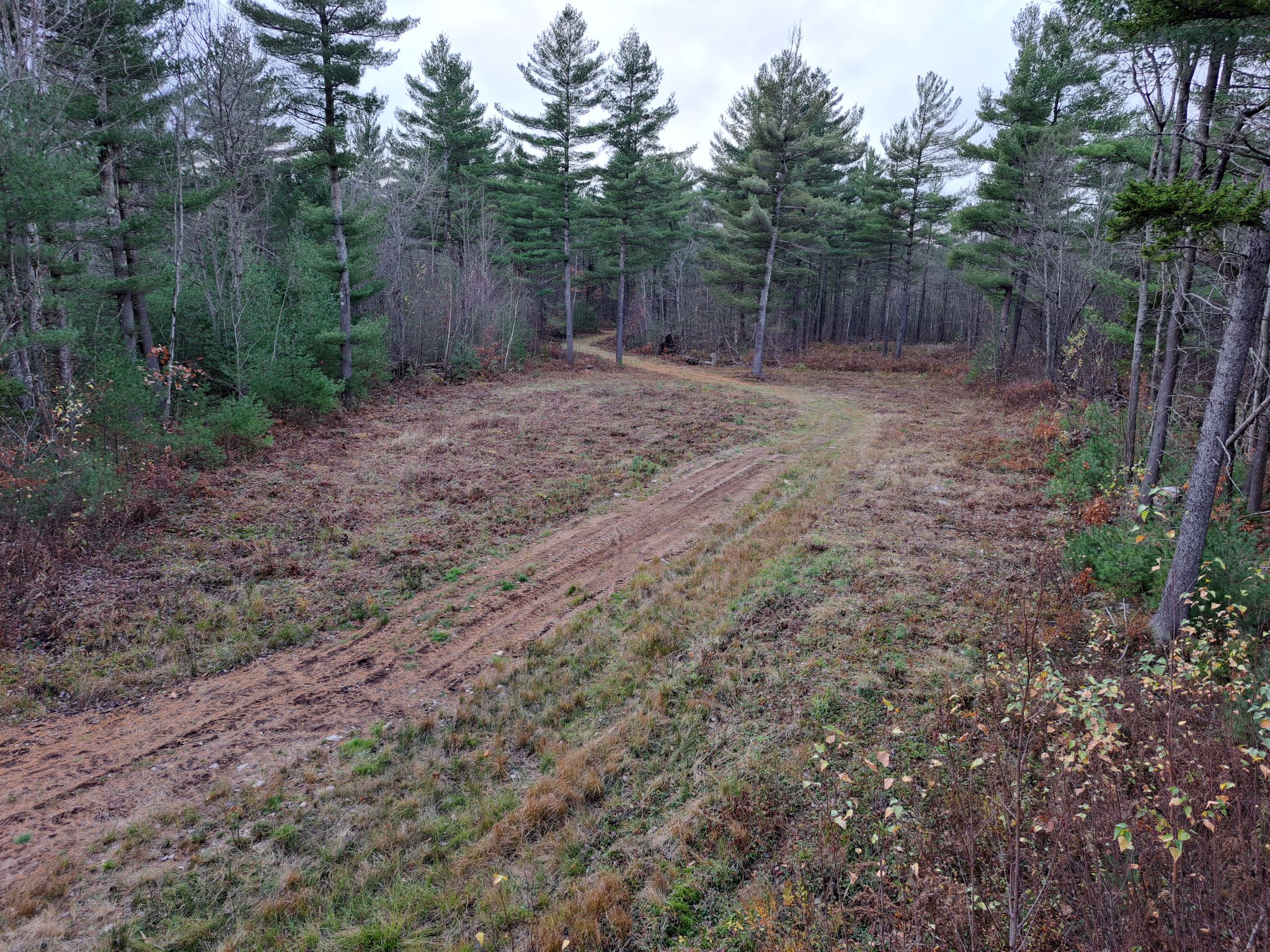 Listing Image 40