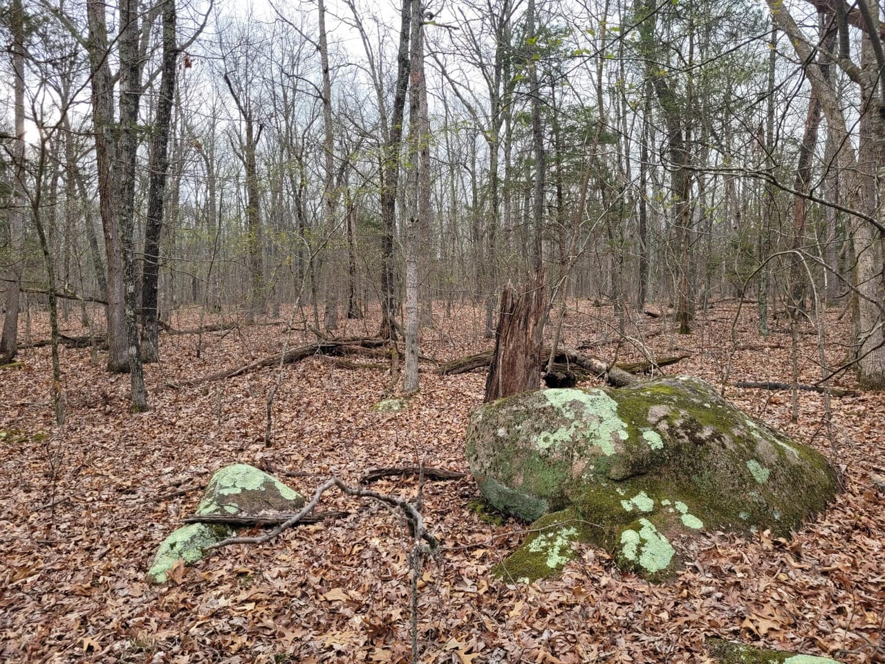 Listing Image 4