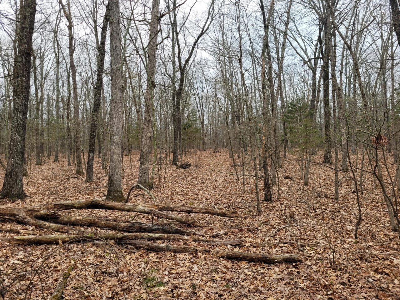 Listing Image 6