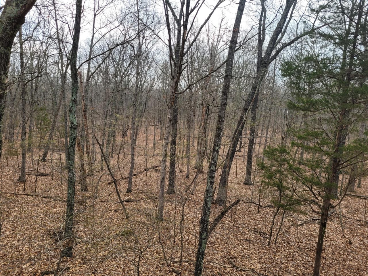Listing Image 7