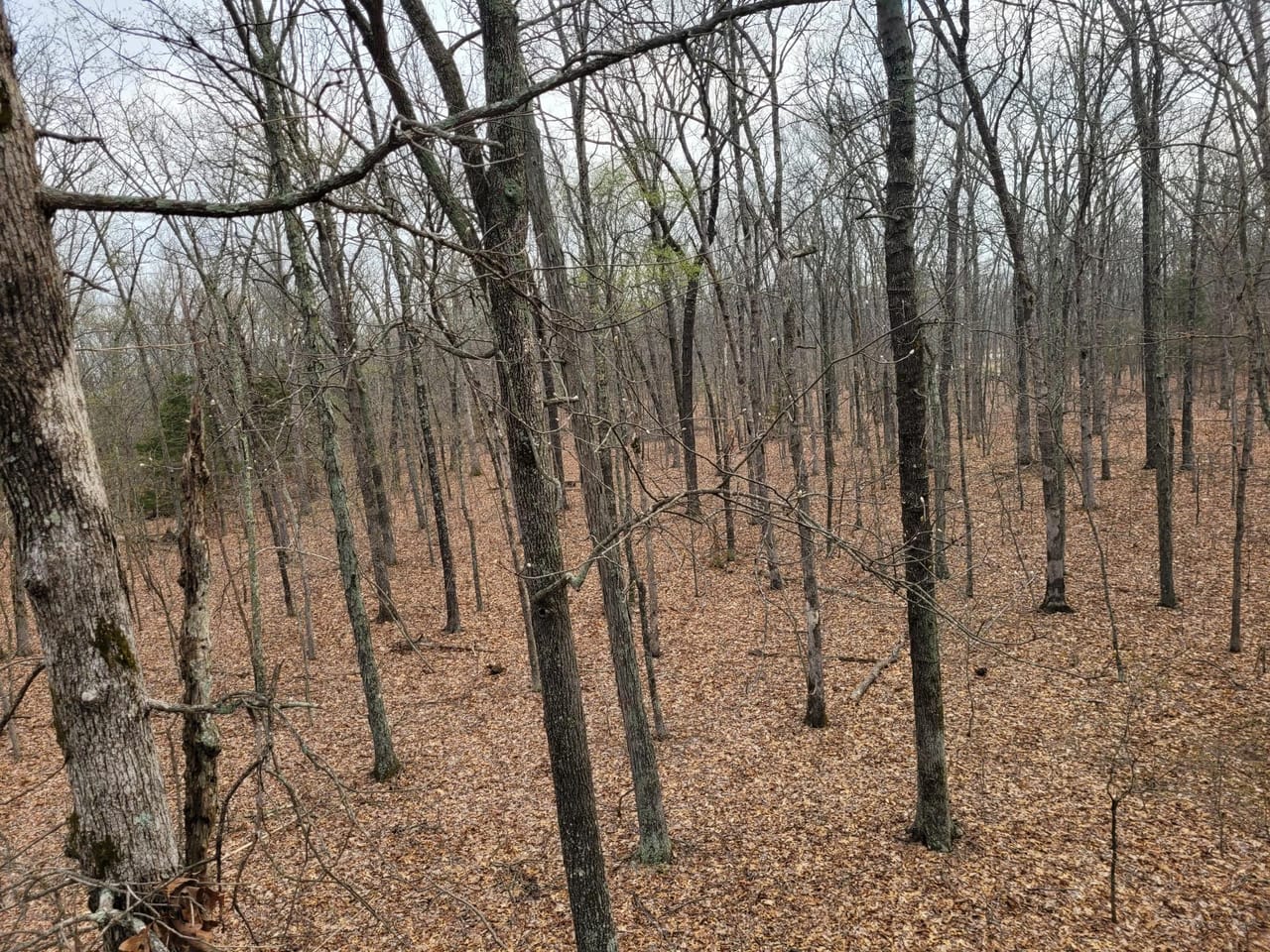 Listing Image 8