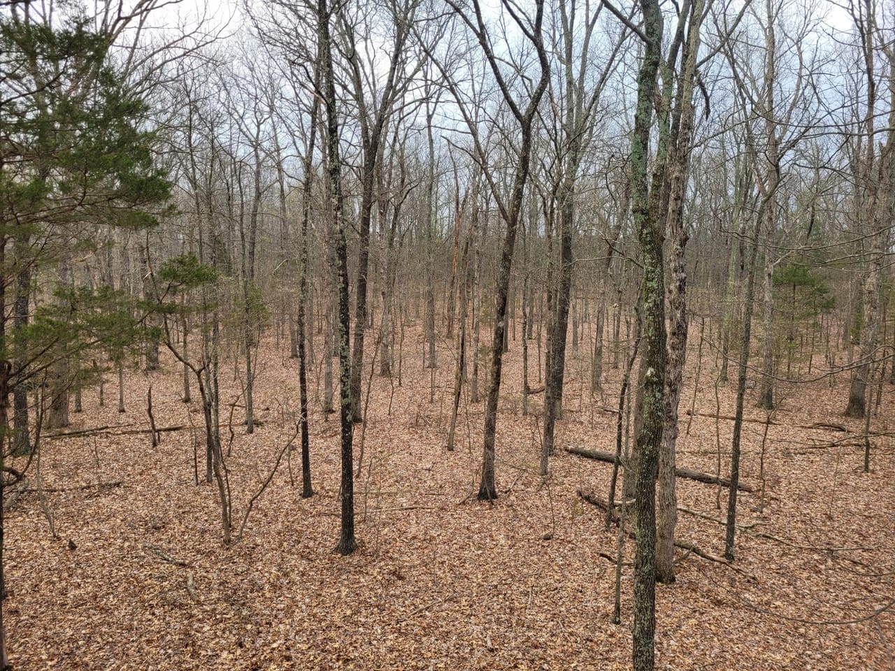 Listing Image 10