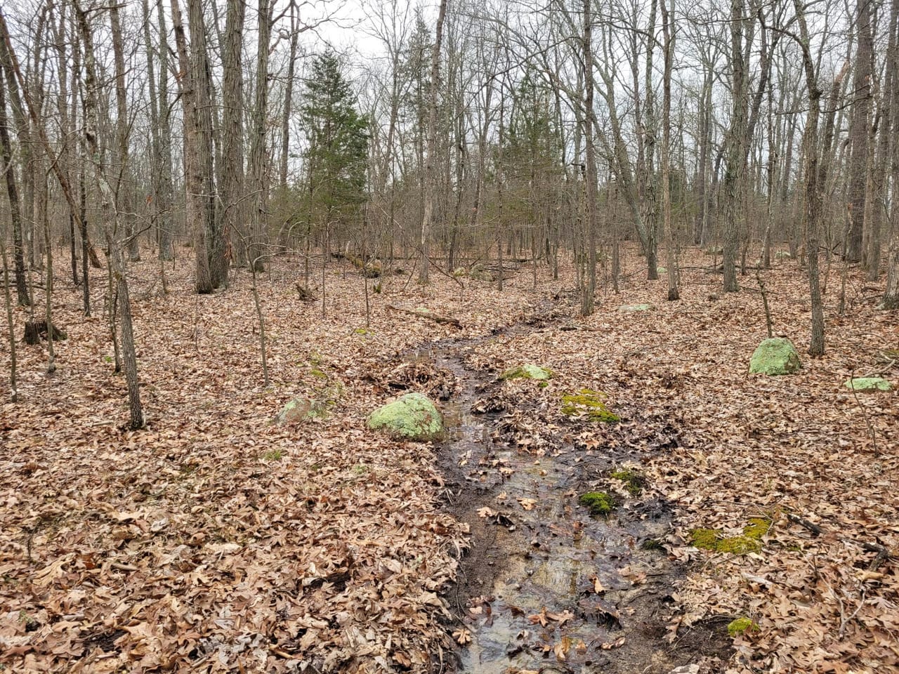 Listing Image 11