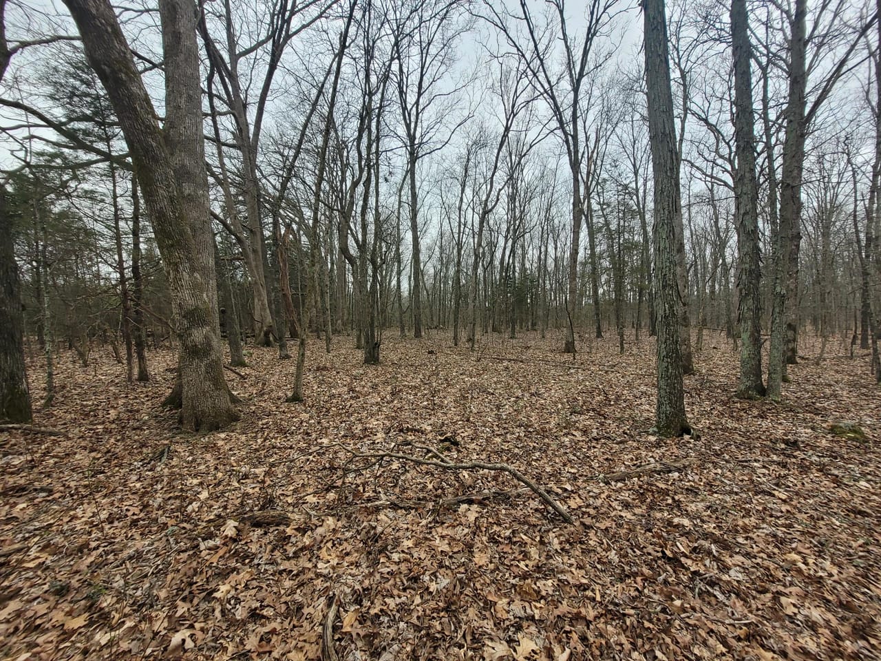 Listing Image 13
