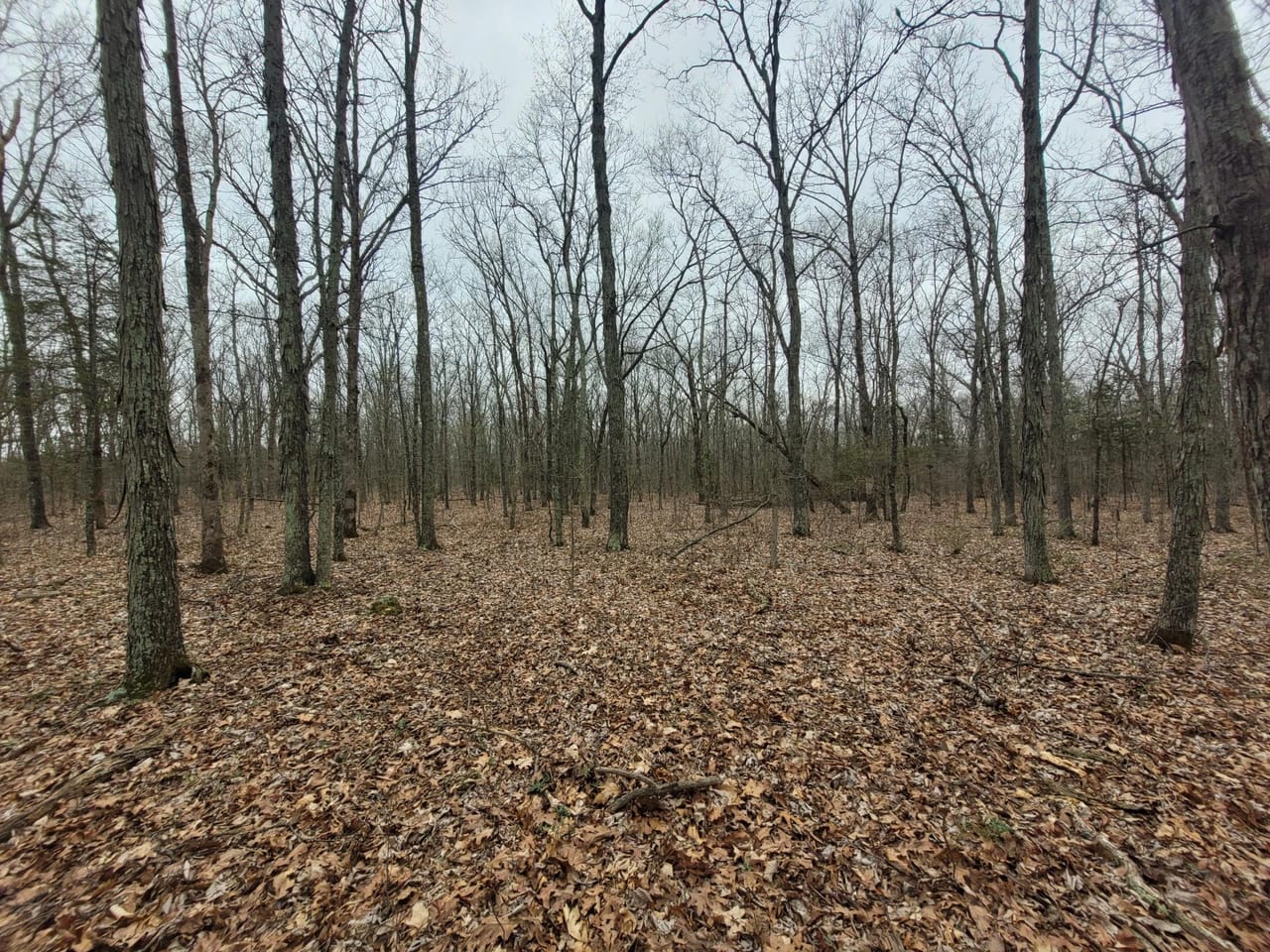 Listing Image 15