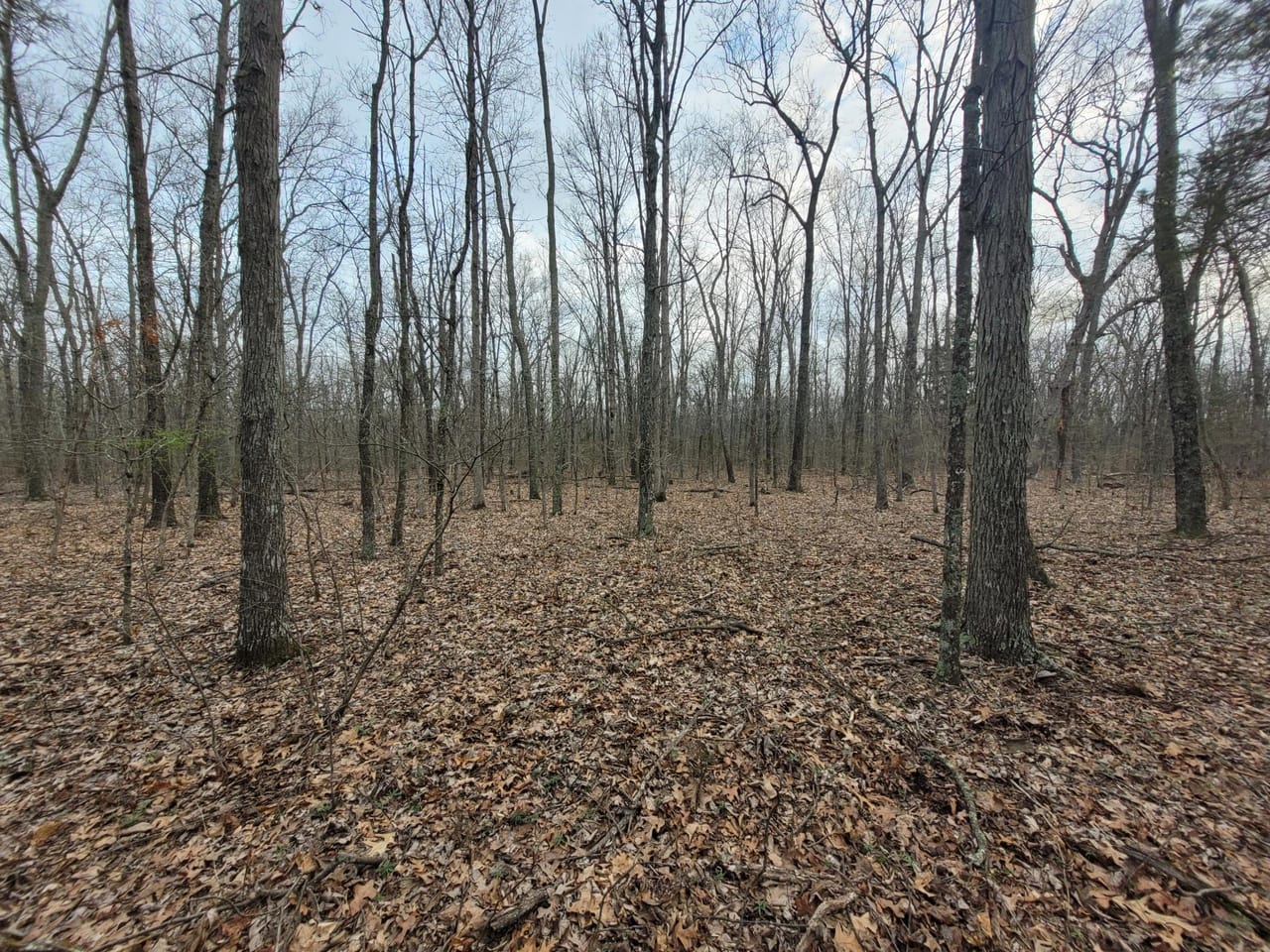 Listing Image 16