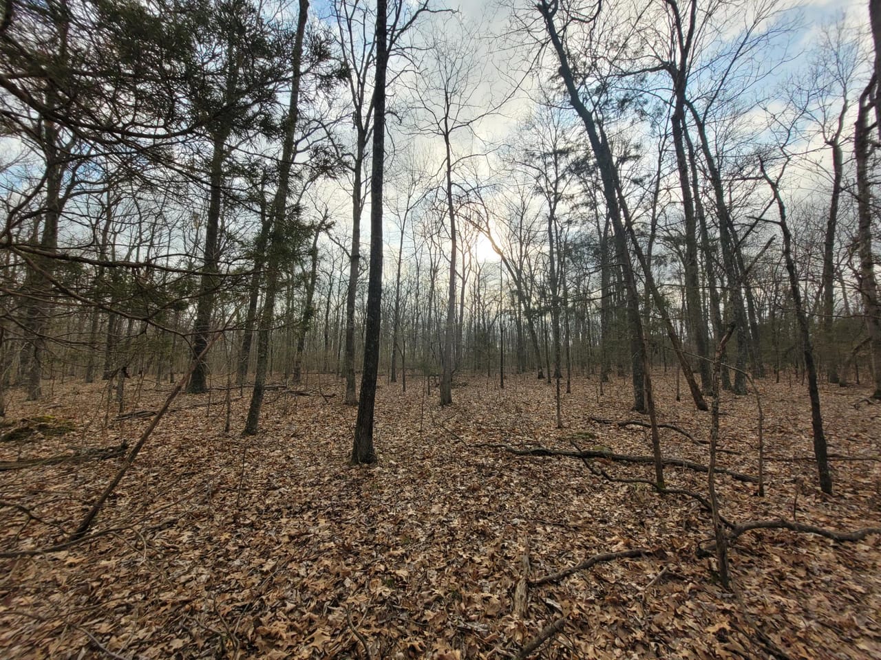 Listing Image 18