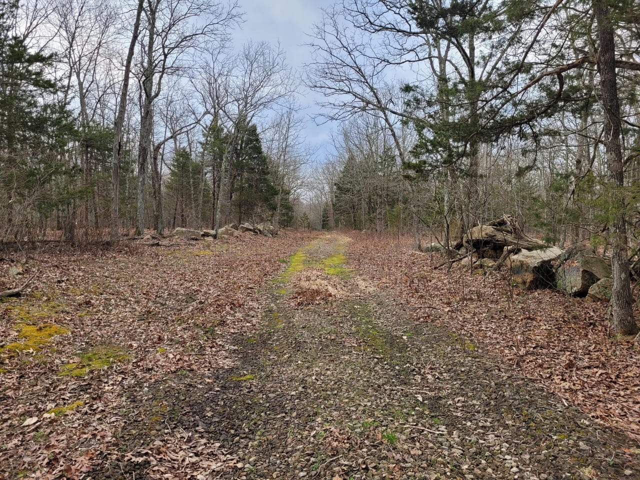 Listing Image 21
