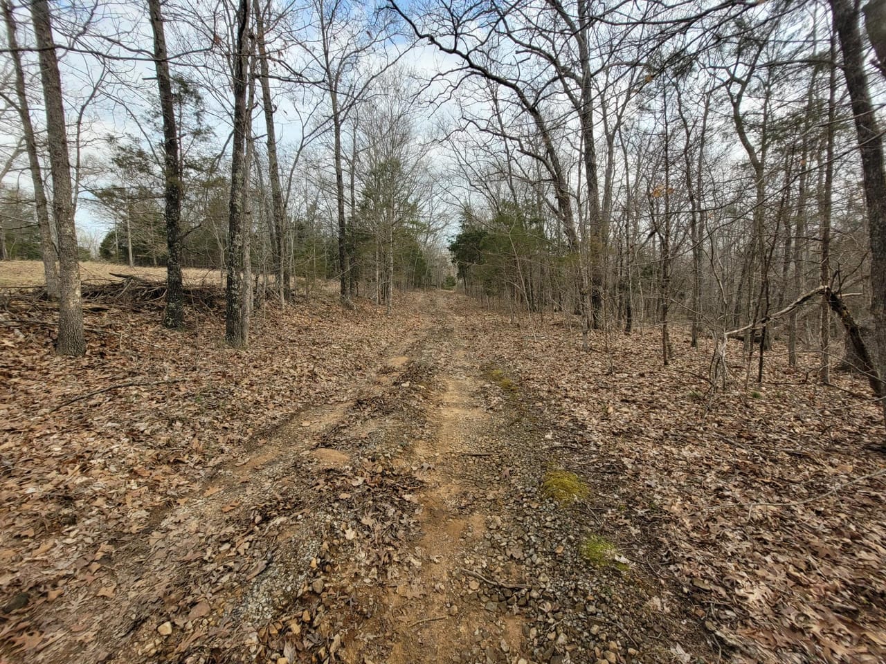Listing Image 22