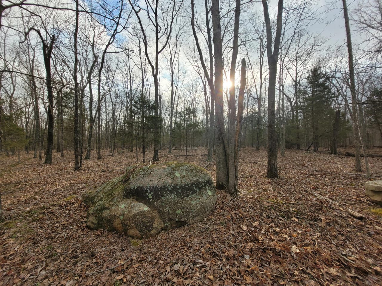 Listing Image 23