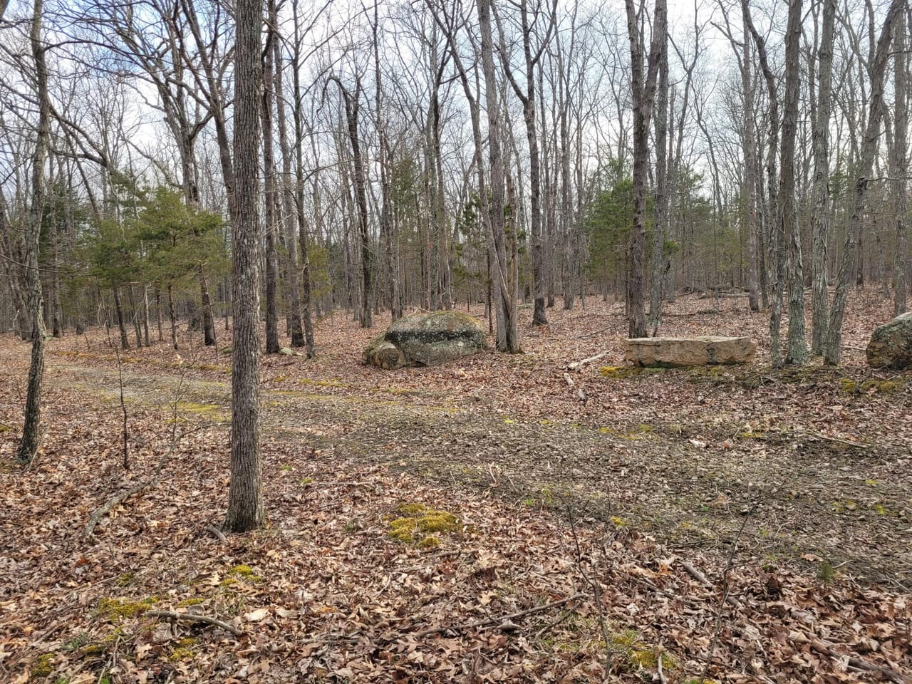 Listing Image 24