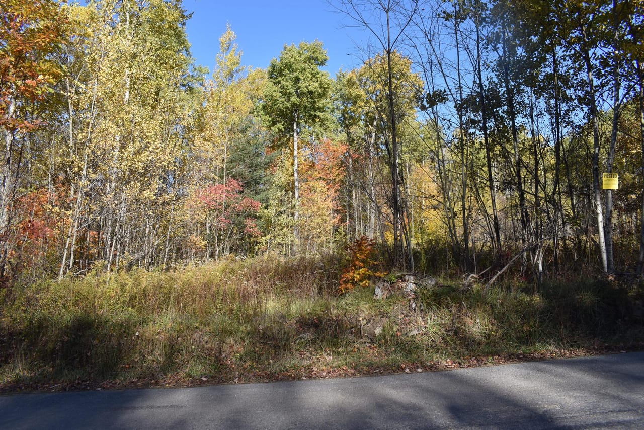 Oswayo Woods & Wildlife