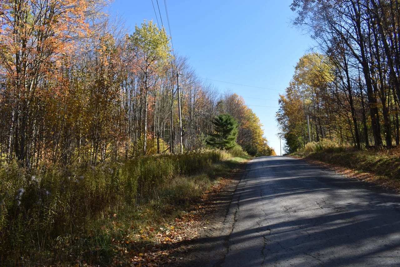 Oswayo Woods & Wildlife